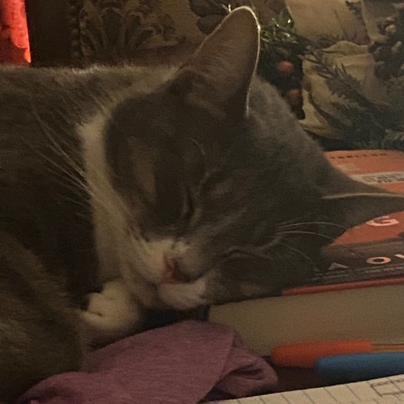 Meet your Posher, Meli! - Picture 4 of 13